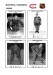 NHL mtl 1945-46 foto hracu2